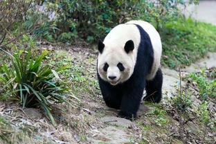 意天空：小图拉姆预计伤缺15天，将缺席接下来两轮联赛